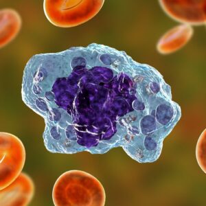immune-cell-inflammation-responsible-for-severe-symptoms-in-rare-neurodegenerative-disease-388704-960×540