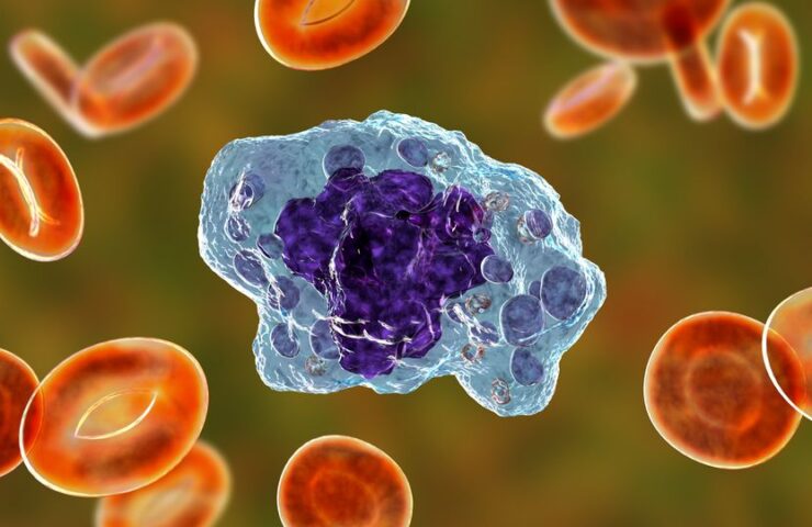 immune-cell-inflammation-responsible-for-severe-symptoms-in-rare-neurodegenerative-disease-388704-960×540